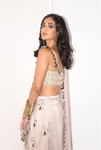 PS-FW596 Aylen Grey Silk Bustier and Skirt Palazzo with Blush Net Dupatta