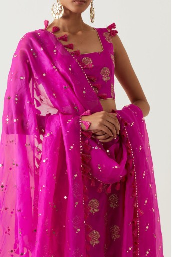 PS-CS0090-A  Hot Pink Embroidered Choli And Skirt With Dupatta