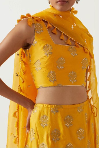 PS-CS0090-B  Mustard Embroidered Choli And Skirt With Dupatta