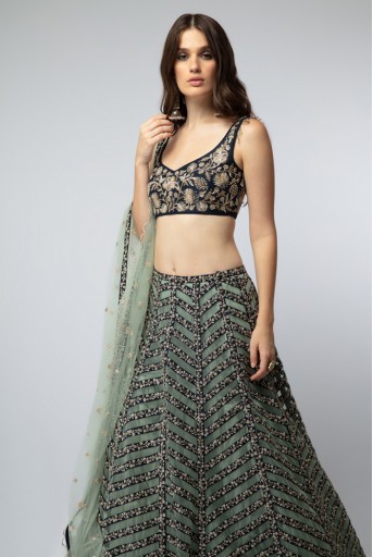PS-ST1191 Navy Embroidered Choli with Stripped Lehenga and Dupatta