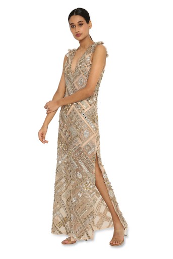 PS-GW0002  Nubia Beige Net Embroidered Gown