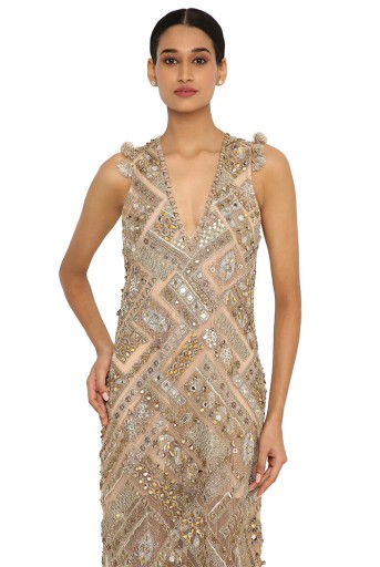 PS-GW0002  Nubia Beige Net Embroidered Gown