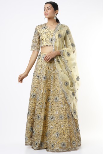 PS-LH0047-A  Pale Yellow Organza Embroidered Lehenga And Choli With Dupatta