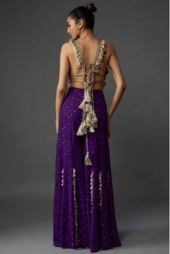 PS-CS0079-D  Purple Embroidered Back Tie-Up Choli With Sharara