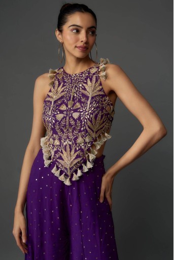 PS-CS0079-D  Purple Embroidered Back Tie-Up Choli With Sharara