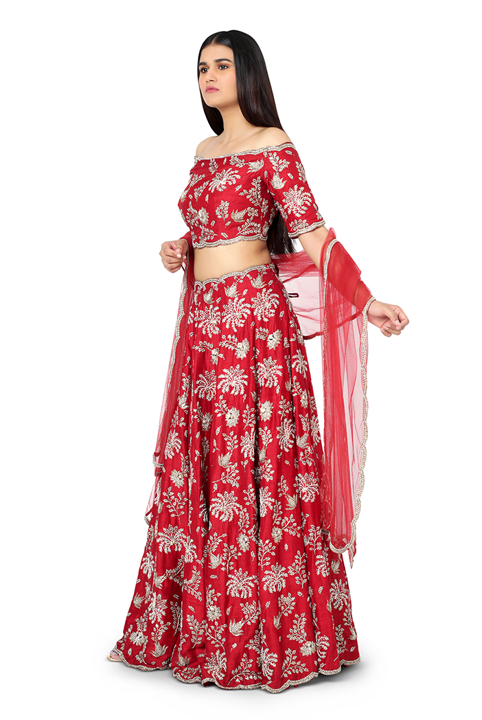 Red netted crop top lehenga - Collections