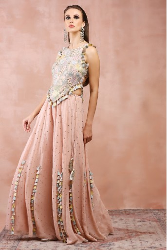 PS-CS0061-C  Rose Pink Applique Embroidered Choli With Sharara