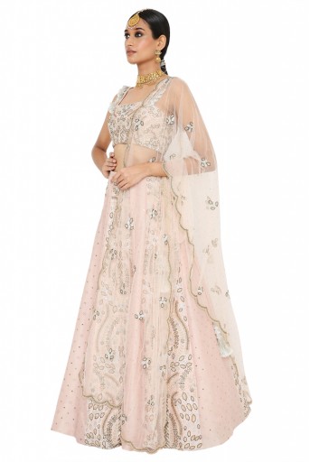 PS-LH0050 Athina Rose Pink Colour Embroidered Choli With Lehenga And Net Embroidered Dupatta