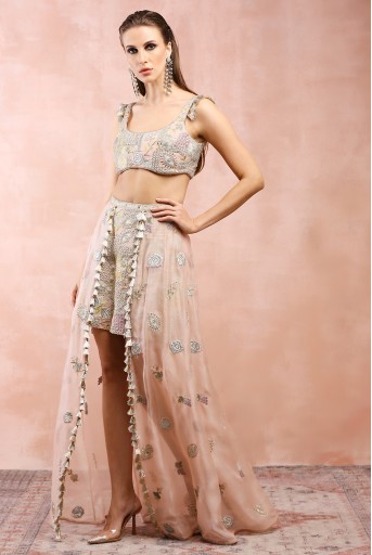 PS-TS0027  Rose Pink Embroiderd Choli With Skirt