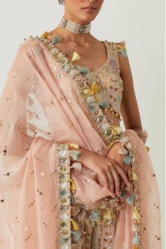 PS-CS0058-C  Rose Pink Embroidered Choli And Sharara With Embroidered Dupatta