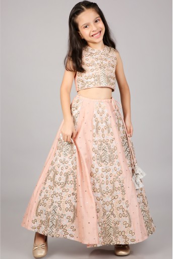 PS-KG0100  Rose Pink Embroidered Top With Lehenga And Dupatta