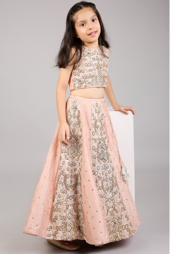 PS-KG0100  Rose Pink Embroidered Top With Lehenga And Dupatta